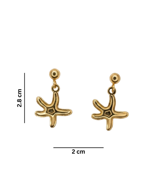 Star Charm Drop Earring